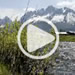 MFRE Video